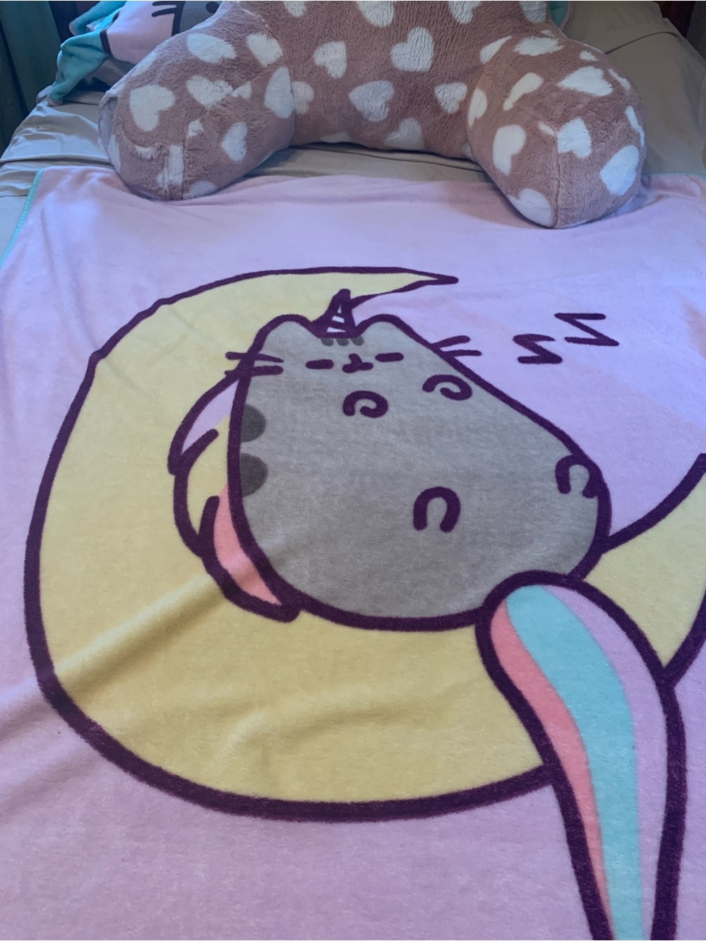 Pusheen teal Cat Burger & Fries and unicorn throw and heart husband pillow - Picture 4 of 4